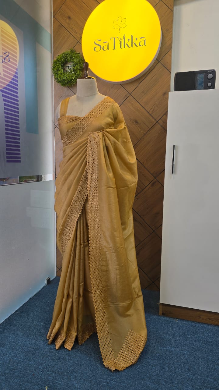 ORGANZA EMBROIDERY CUTWORK SAREE