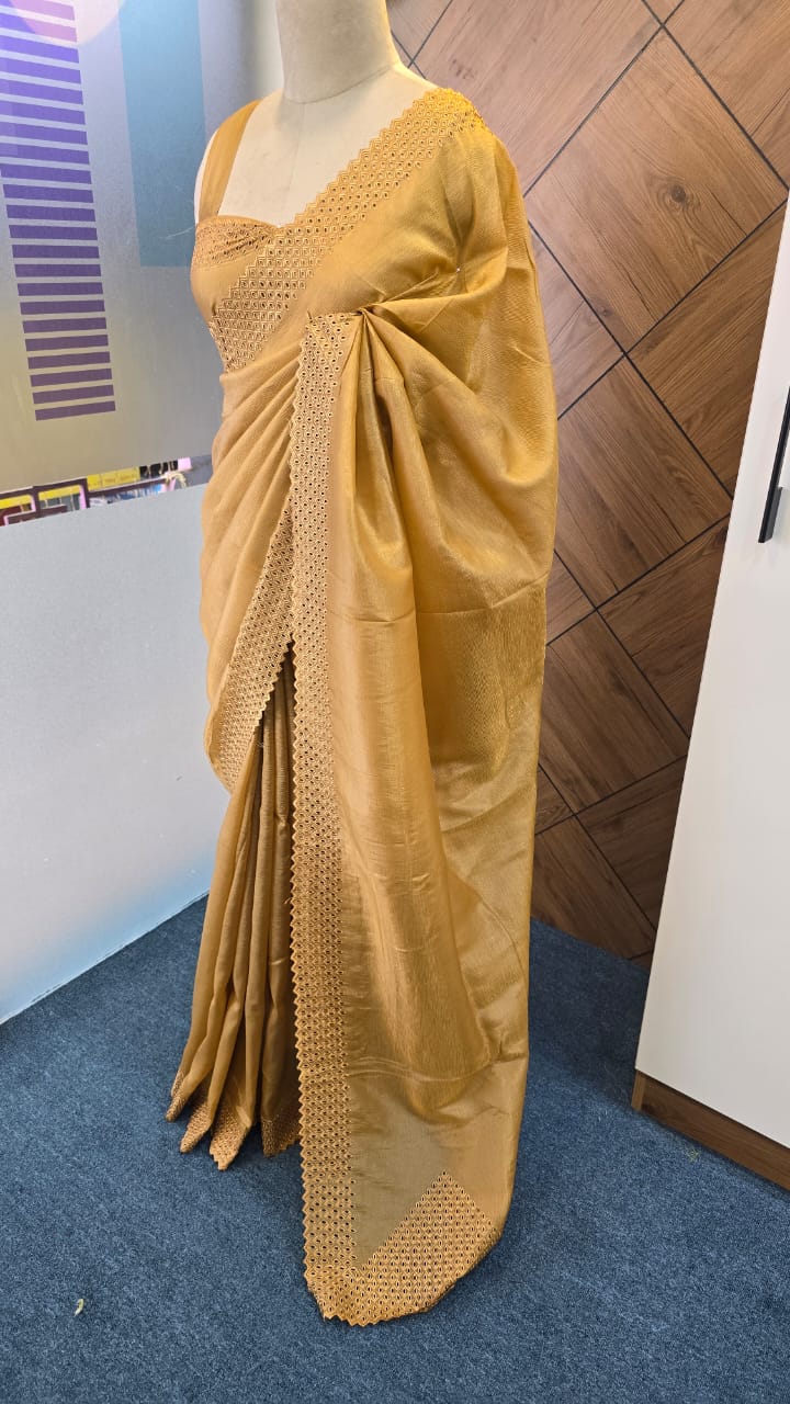 ORGANZA EMBROIDERY CUTWORK SAREE
