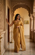 ORGANZA EMBROIDERY CUTWORK SAREE